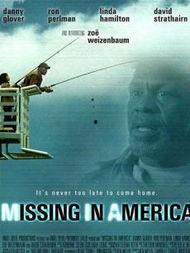 迷失美国,探寻异域风情与本土魅力的交融之旅